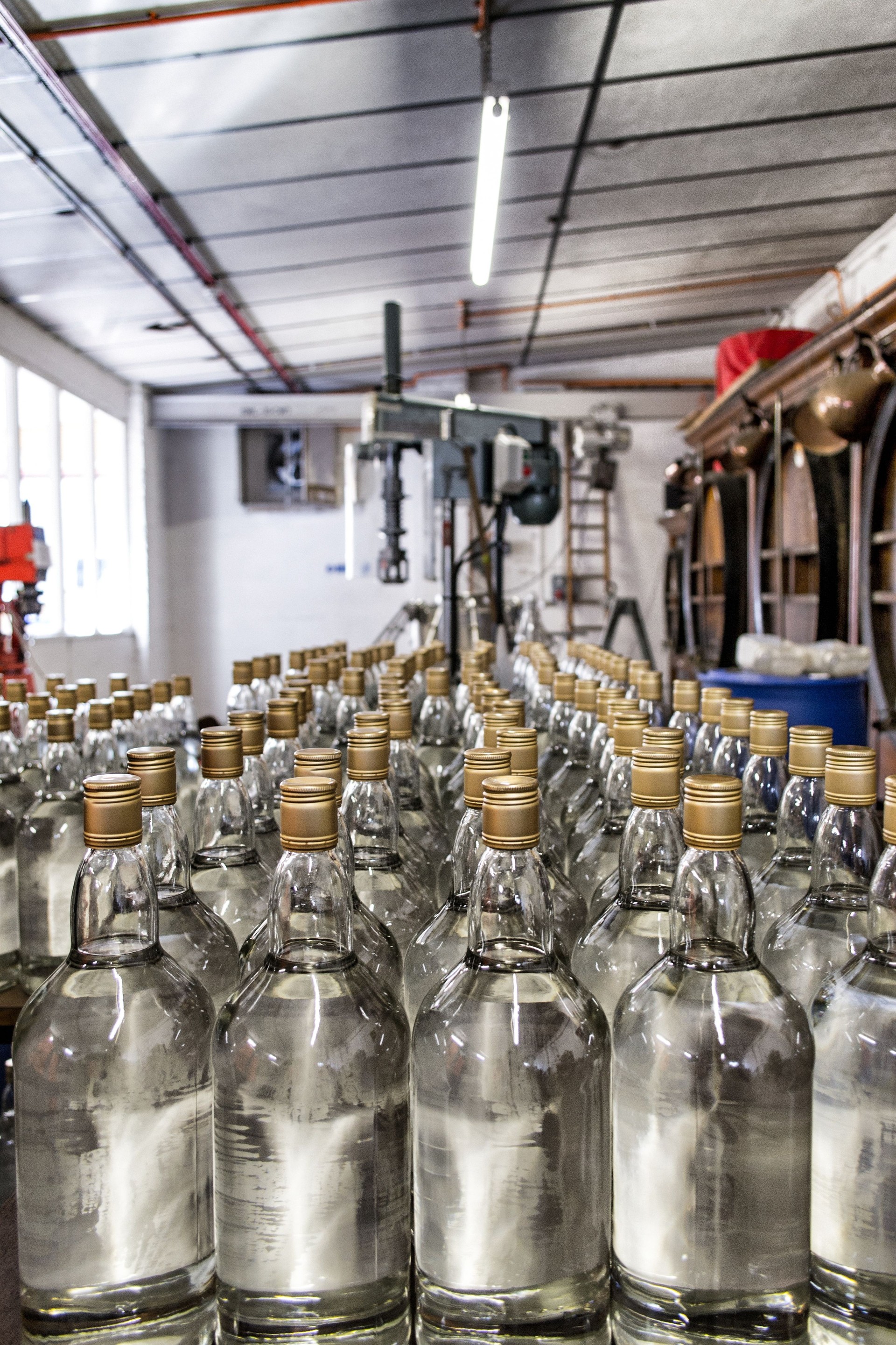 Gin bottles at a distillery Gin bottles at a distillery